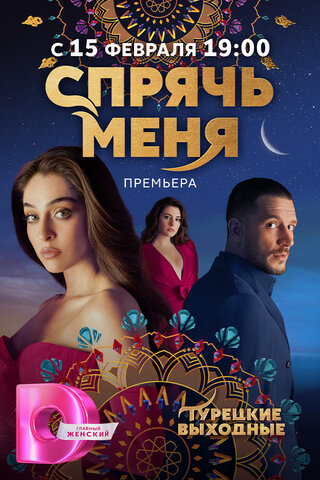 Спрячь меня - постер